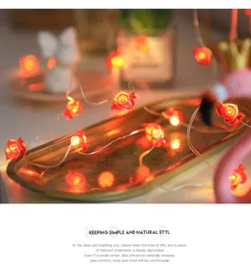 LED hart koperdraad lichtketting, romantische rode lampjes voor kamerdecoratie en feest.