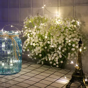 Luci LED a Filo di Rame Catena Luminosa Impermeabile Calda Multicolore per Matrimonio Festival Festa Casa Decorazione Fai da Te