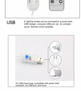 USB controller and remote for LED string lights, 5V power supply compatibility details.
