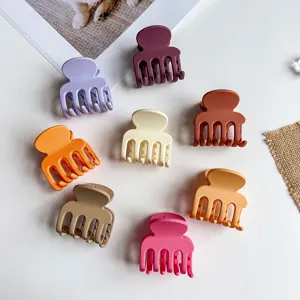 Buntes Set aus matten Mini-Haarklammern, süße kleine Haarklammern für das tägliche Styling.