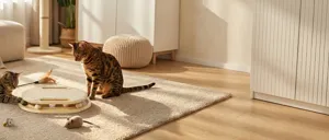 Wooden cat scratcher track toy with sisal mat and rolling balls in cozy home setting detail.