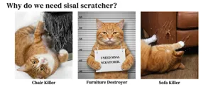 Sisal cat scratcher detail image showcasing why cats need furniture scratch protection.
