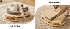 Wooden cat scratching board with track and sisal mat, interactive toy for indoor cats.