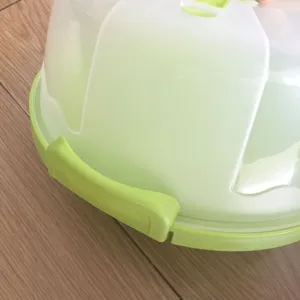 Draagbare doorzichtige plastic taartdoos met groene gespen voor verjaardag bakverpakking opslag