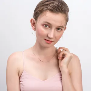 Zilveren 925 delicate puntketting halsketting gedragen op model, elegante geplateerde ketting.