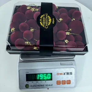 Velvet Christmas baubles set 42pcs burgundy hanging balls ornament festive holiday decor