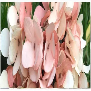 Close-up of artificial autumn hydrangea flower petals with soft pink gradient fabric texture.