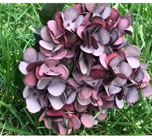 Artificial autumn hydrangea silk flower close-up detail for wedding home decor floral arrangement