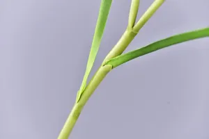 Close-up detail of artificial flower green stem and leaves for home wedding decoration.