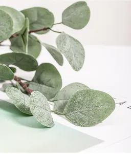 Close up detail of artificial eucalyptus leaves branch with frosted green leaves for decor.