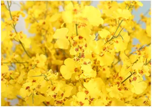 Detail shot of vibrant yellow artificial dancing orchids with realistic brown markings.
