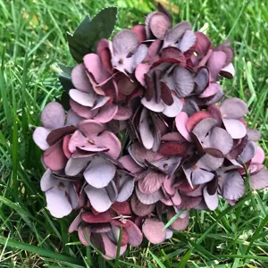 Artificial autumn hydrangea silk flower head bunch for wedding home floral arrangement decor