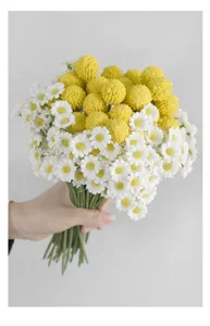 Artificial flower bouquet with white daisies and yellow billy balls, perfect photo prop.