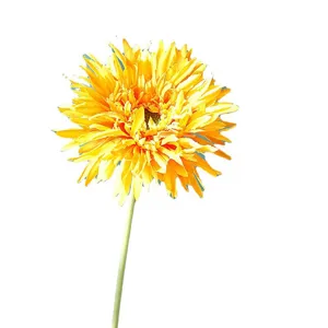 Fiore di Gerbera Artificiale Finto Fiore per Decorazione Matrimonio Casa Fotografia Principale