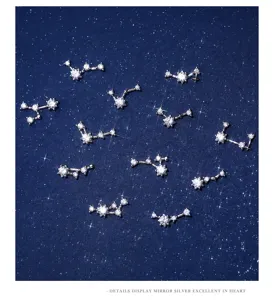 Detailweergave van prachtige zilveren sterrenbeeld oorbellen met heldere stralende zirkonia.