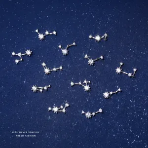 925 Sterling Zilveren Twaalf Sterrenbeelden Oorknopjes Voor Vrouwen Zirconia Constellatie Asymmetrische Mode Sieraden