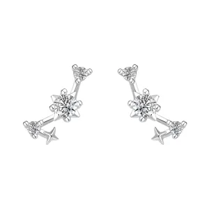 S925 sterling zilver sprankelende zirkoon sterrenbeeld oorbellen, elegant minimalistisch.