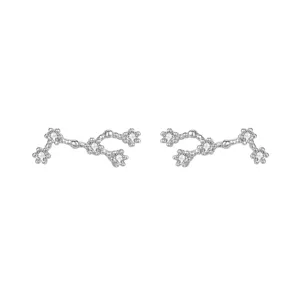 S925 sterling zilveren dierenriem sterrenbeeld oorknopjes, stijlvolle hemelse sieraden.