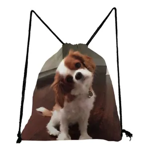 Cavalier King Charles Spaniel print drawstring backpack, lightweight campus travel bag.