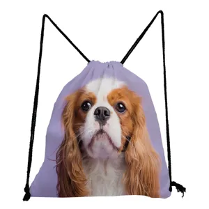 Cavalier King Charles Spaniel print lightweight casual drawstring backpack for school travel.