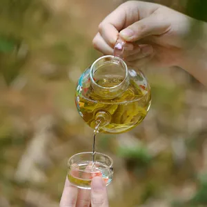 Klares Teekannen-Set aus Glas mit Blumenmuster, tragbarer Teebereiter für den Haushalt.