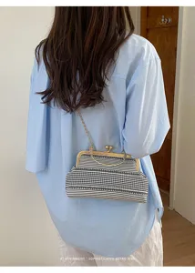 Close-up view of the black and white striped kiss-lock shoulder bag with a gold metal chain.