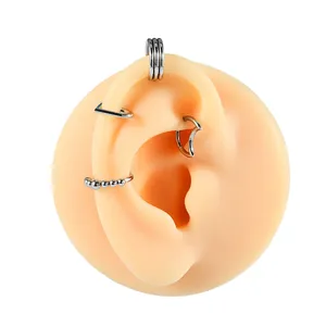 Edelstahl Piercing Schmuck Set Detail, Knorpel Ohrringe und Ringe auf Ohr Modell Display.