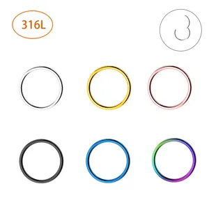316L Stainless Steel Seamless Nose Ring Hoop Hinged Clicker Segment Ring Body Piercing Jewelry For Men Women Earrings Lip Ring