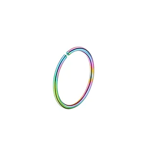 Regenboog neusring roestvrij staal oor piercing sieraden minimalistisch ontwerp