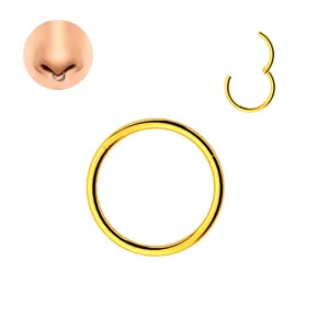 Detailed view of gold stainless steel hinge segment nose ring, polished finish, body piercing.