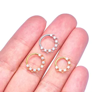 F136 Titanium Zirkonia Cluster Clicker Septum Ring Kraakbeen Oorring Piercing