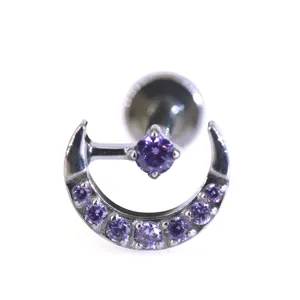 F136 Titan Mondsichel Lippenpiercing Stecker mit lila Zirkonia Ohrschmuck Cartilage