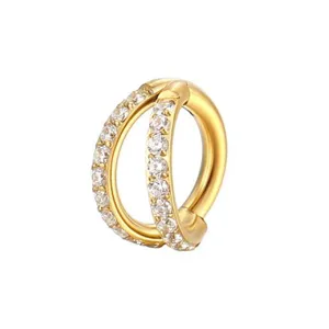 G23 titanium legering dubbele rij geplaveide zirkonia naadloze segment ring neuspiercing.
