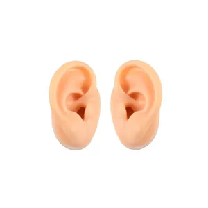 Silicone ear model pair for jewelry display, tattoo practice, and piercing teaching use.