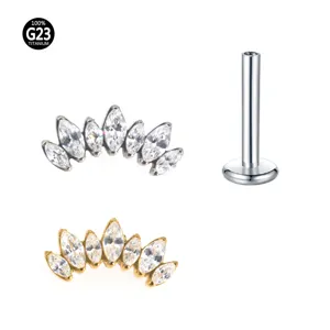 G23 Titanium Markies Zirkonia Labret Kordaat Kraakbeen Piercing Lichaamssieraden