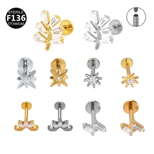 G23 Titanium Labret Stud Ear Cartilage Piercing Earrings Cubic Zirconia Flower Star Leaf Body Jewelry Gift