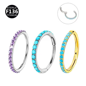 G23 Titanium Hinged Segment Ring Inlaid Rhinestone Nose Ring Piercing Jewelry For Men Women Daily Body Jewelry Hoop