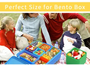 Outdoor picnic scene showing a square silicone bento box with multiple compartments for food.