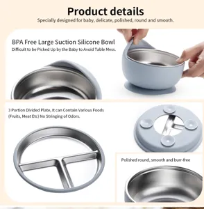 Stainless steel silicone baby bowl and divided plate detail showing smooth edge and suction base.