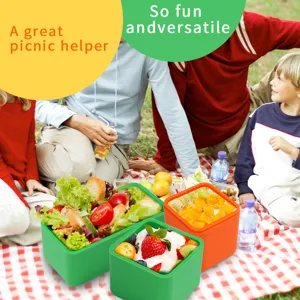 Square silicone bento box and lunch container with compartments for outdoor picnic main view.