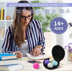 Fidget sensory toys set with silicone stress relief balls in black portable zipper case.
