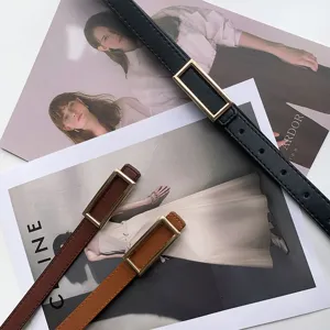 Detailed shot of stylish minimalist leather belts with metallic rectangular buckles in multi colors.