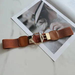 Detail view of brown elastic waist belt featuring a chic gold round metal buckle for women.