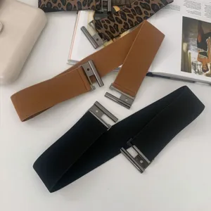 Detail shot of wide elastic waist belt with metal hook buckle, stylish accessory for dresses.