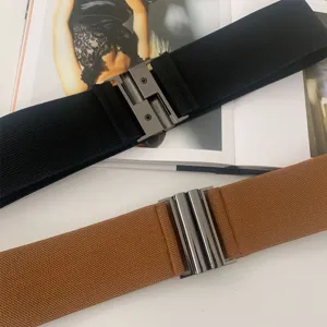 Wide elastic waist belt for women, fashionable dress and coat decorative accessory.