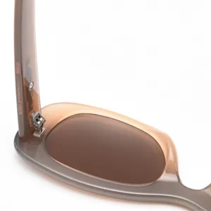 Close-up detail view of trendy polarized sunglasses with brown gradient frame and metal hinges.