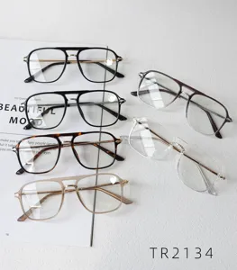Vue détaillée des montures de lunettes rétro à double pont en divers coloris tendance.