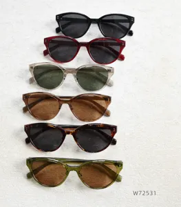 Detailed view of trendy TR90 cat-eye polarized sunglasses in multiple colors and finishes.