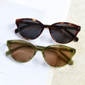 TR90 Cat-Eye Polarized Sunglasses Detail Shot Featuring Stylish Retro Frames and Lenses