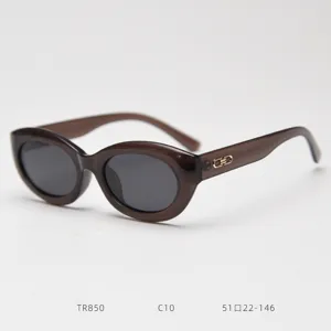 Detail view of retro oval cat-eye polarized sunglasses with stylish gold temple links.
